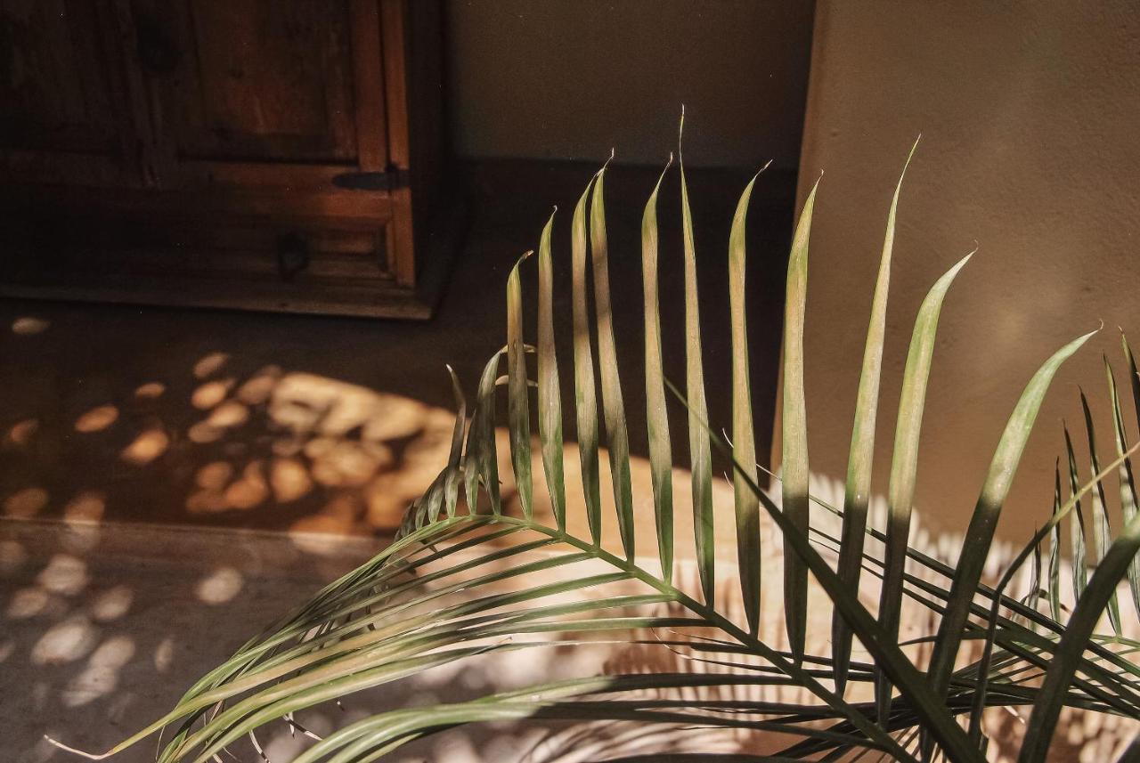 Boutique Hotel Posada 06 Tulum (Adults Only) Εξωτερικό φωτογραφία